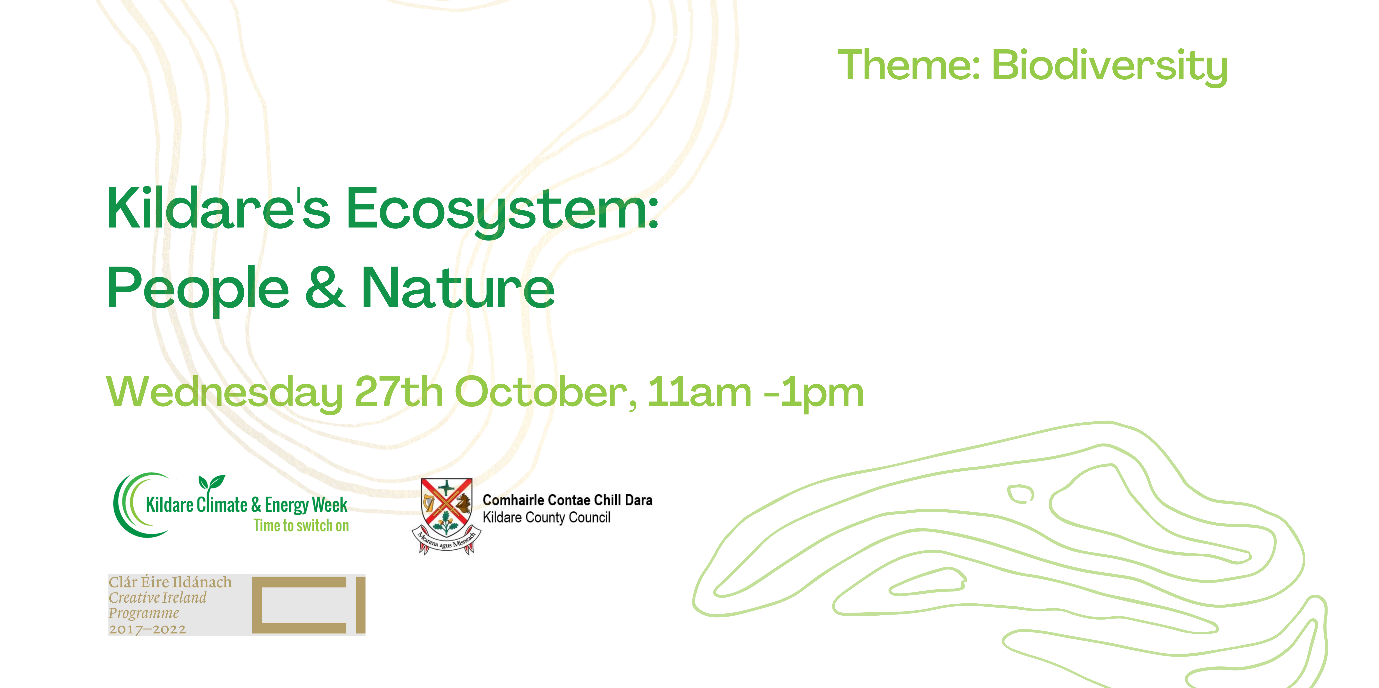 Kildare Eco System